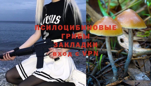 дурь Абдулино