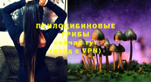 дурь Абдулино