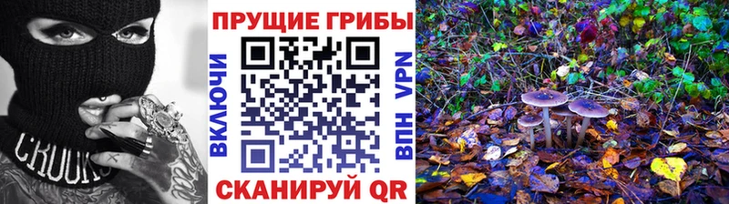 Галлюциногенные грибы мицелий  Североморск 